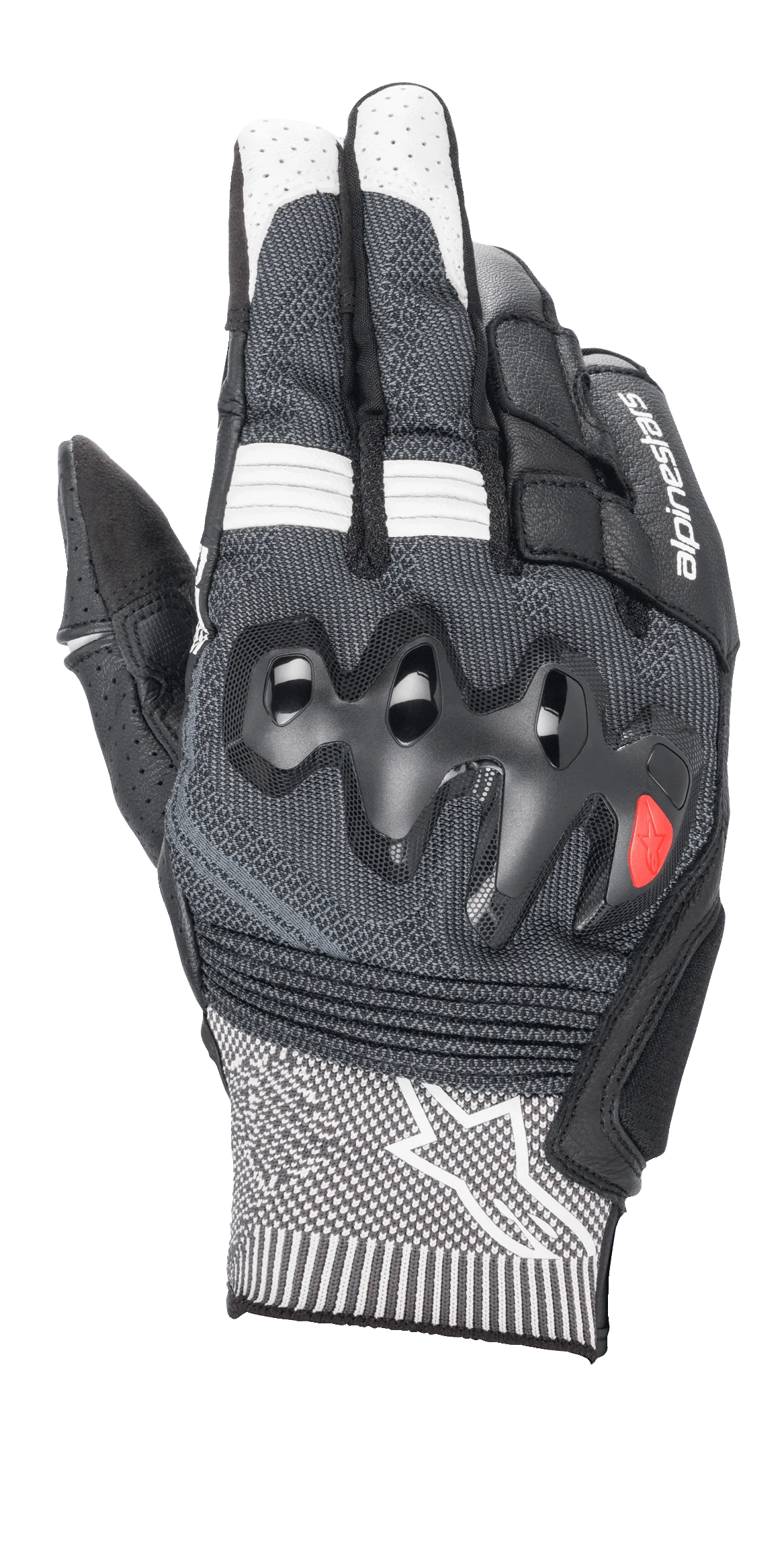 Luvas Morph Sport